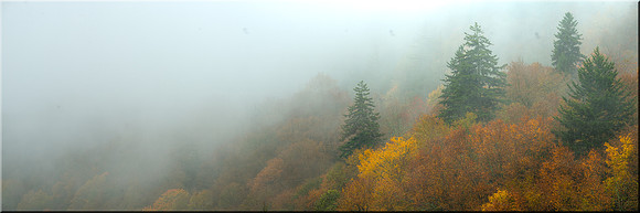1020