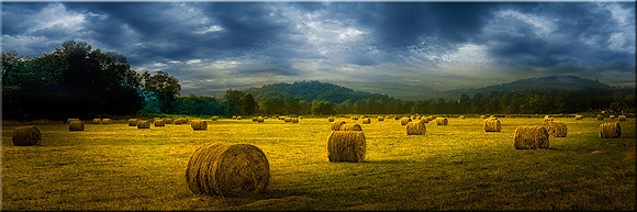 518 Whispers of Autumn