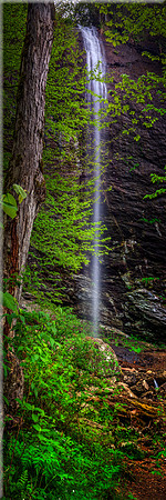 1805 Douglas Falls