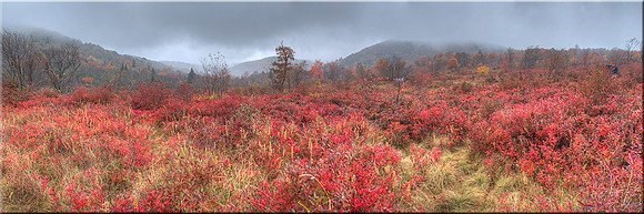 957 Fiery Fall