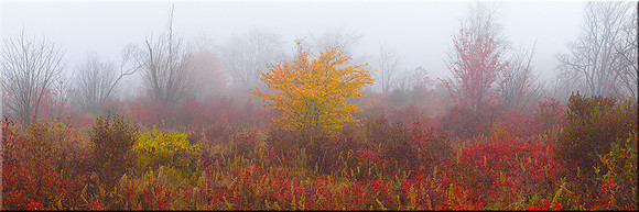 954 In the Heart of Fall
