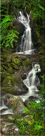 589 Mouse Creek Falls