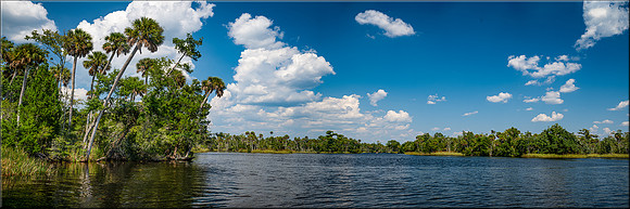 1937 Aucilla River III