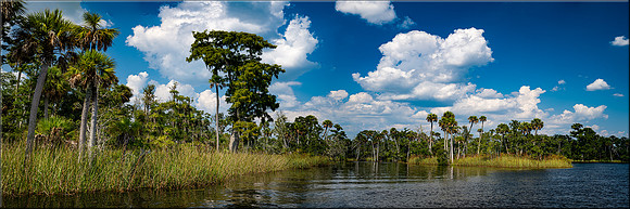 1935 Aucilla River I