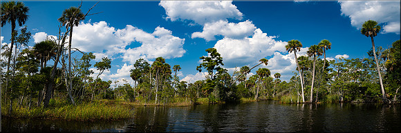 1936 Aucilla River II