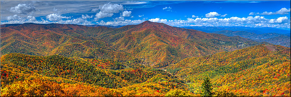 1737 Cold Mountain