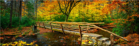 1741 Autumn's Bridge