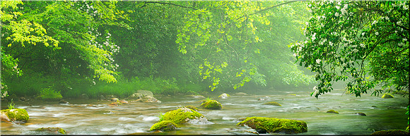 1040 River Mist