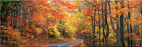 299 October Road