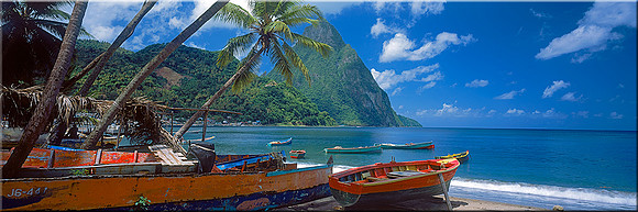309 Island Apeel