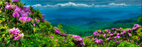 1960 Appalachian Spring