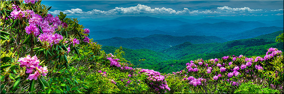 1960 Appalachian Spring