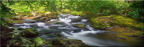 216 Oconaluftee River
