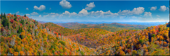 1060 Blanket of Color