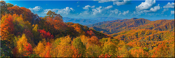 1065 Autumn's Palette