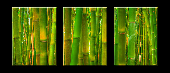 769T Bamboo
