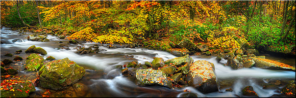 1072 Gentle Flow of Fall