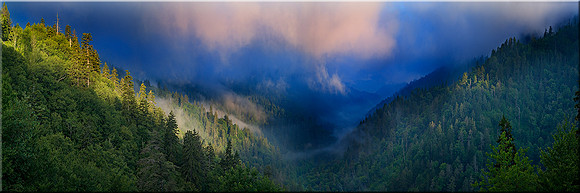 476 Majestic Morning