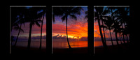 767T Palm Cove Sunrise