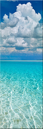 1089 In the Shallows
