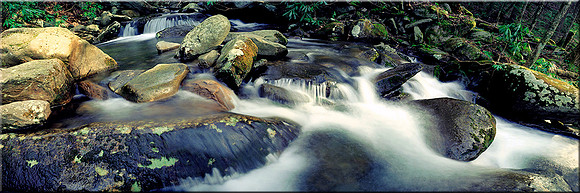 174 Cosby Creek