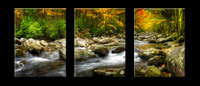 758T Poetry of Autumn