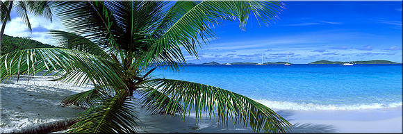 332 Caribbean Spirit