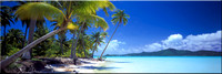 130 Tropical Paradise