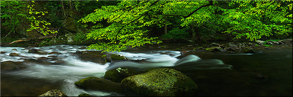1118 Middle Prong Little River