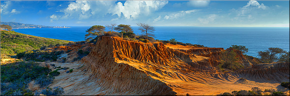 1256 Torrey Pines