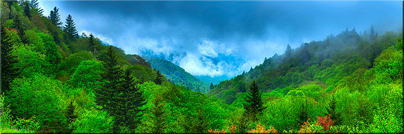 1135 Sea of Spring Clouds
