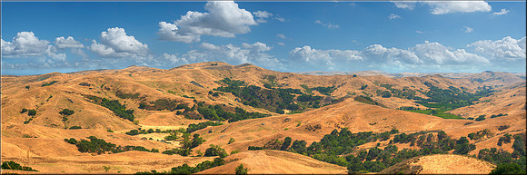 1226 Paso Robles