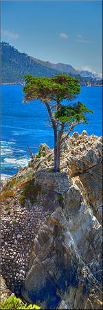 1216 Pebble Beach