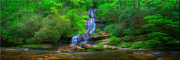 1107 Tom's Branch Falls