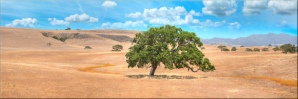 1233 Paso Robles