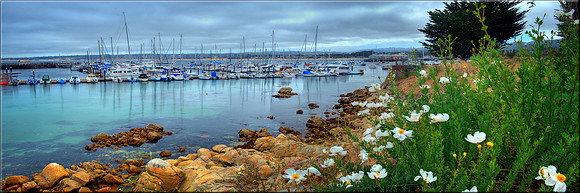 1194 Monterey Harbor
