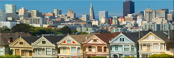 1185 Painted Ladies