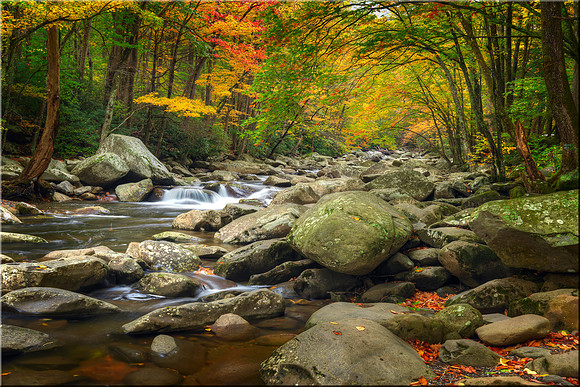 0172 Autumn's Palette
