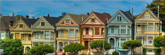 1183 Painted Ladies