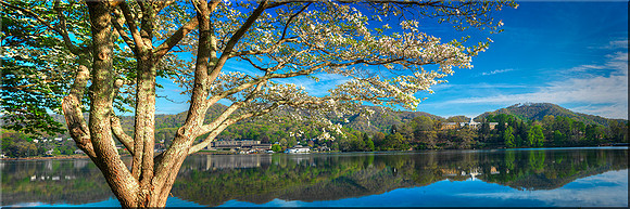 1109 Lake Junaluska