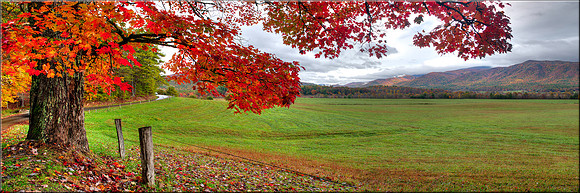 1157 Autumn in the Cove