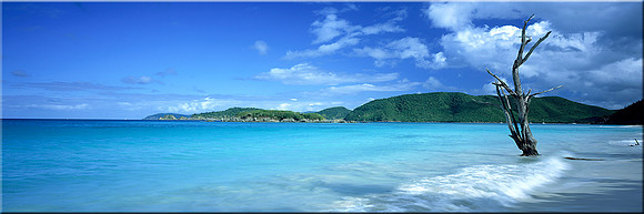 323 Cinnamon Bay