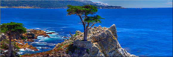 1215 Pebble Beach