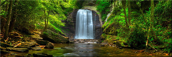 1123 Looking Glass Falls