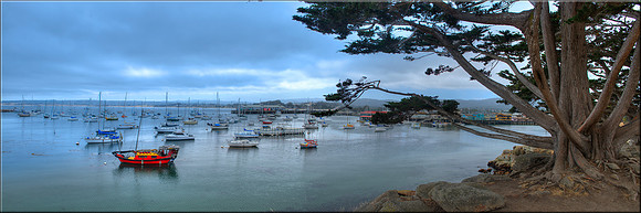 1197 Monterey Harbor