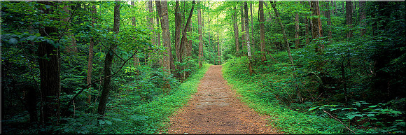 269 Quiet Walkway