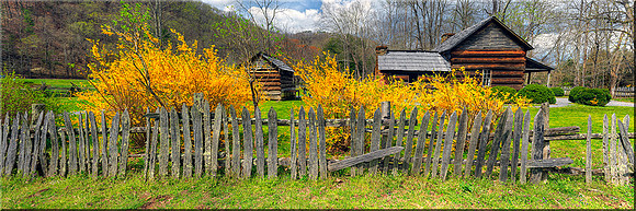 1099 Spring at the Homestead