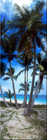 205 Bahama Breeze