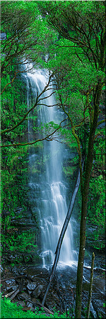 806 Erskine Falls