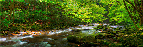 1303 River Run